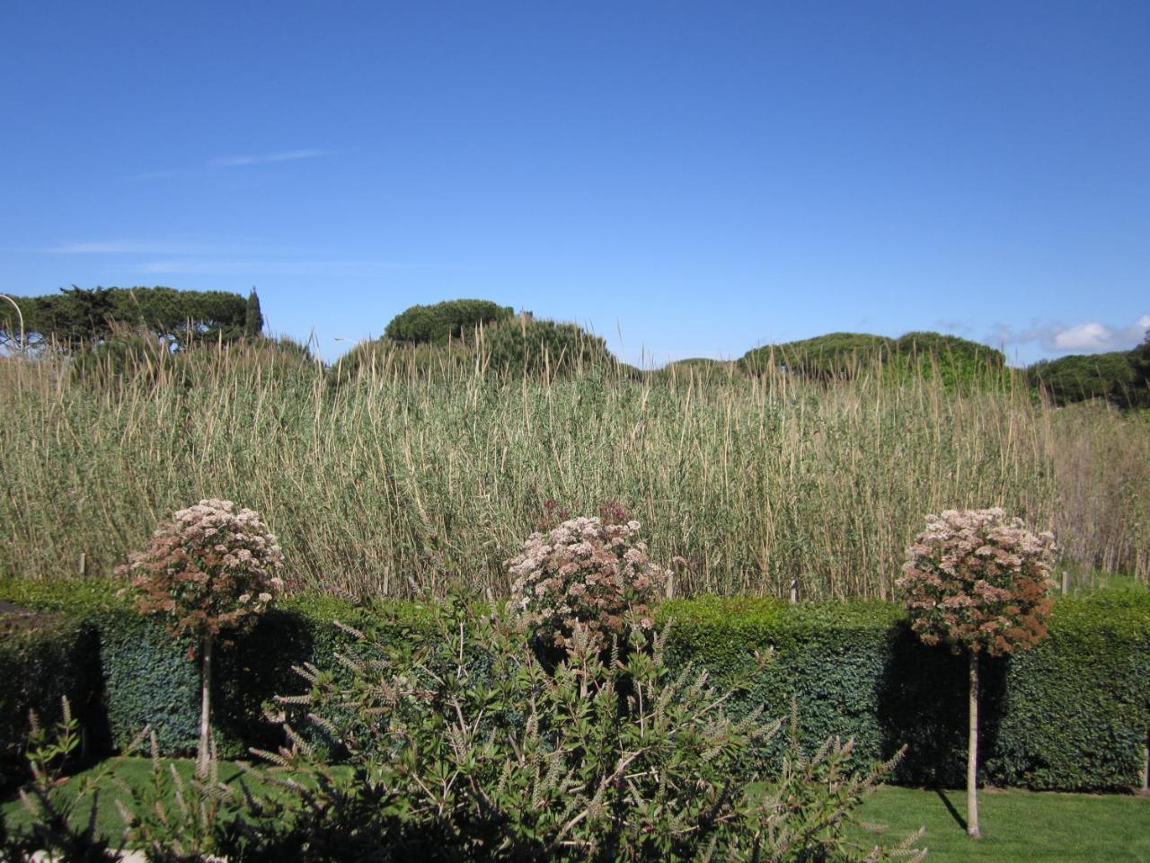 Hotel Villa Smeraldo Orbetello Exterior foto